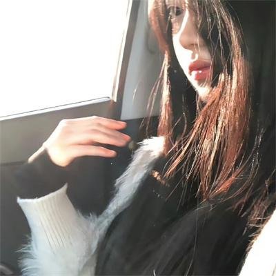 流浪狗阿甘