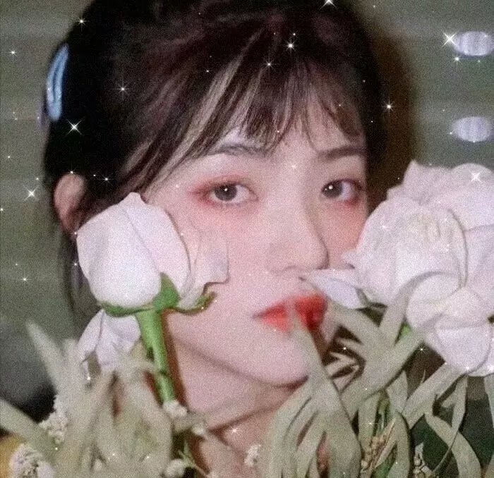 维和防暴队